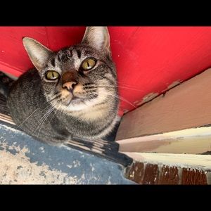 Meet your Posher, Elliot